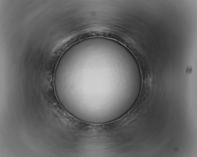 X0000112500822200908241347