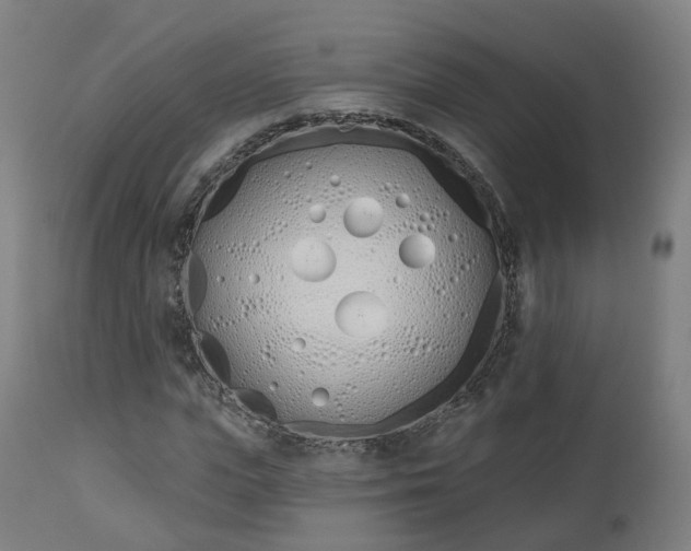 X0000112500823200908241347