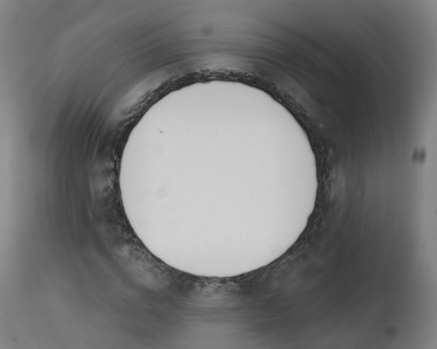 X0000112500824200908241347