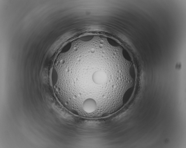 X0000112500825200908241347