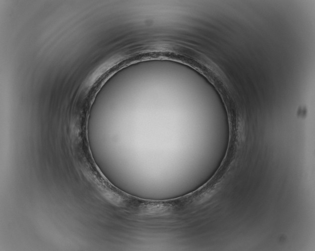 X0000112500826200908241347