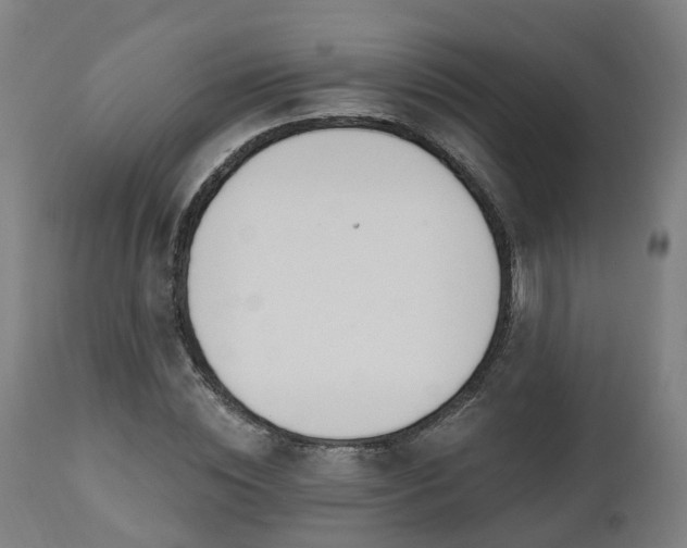 X0000112500828200908241347