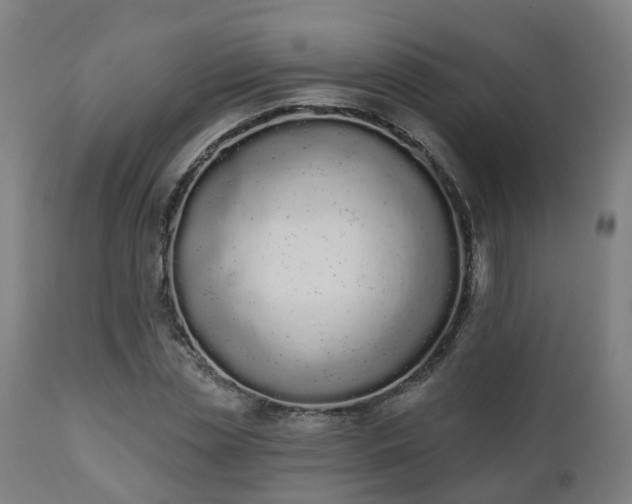 X0000112500829200908241347