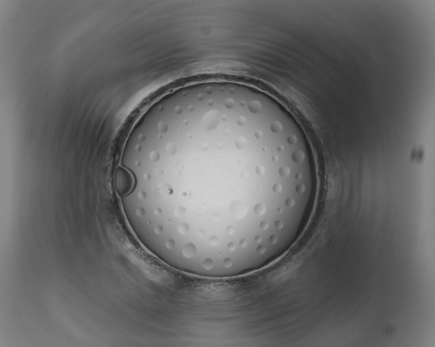 X0000112500830200908241347