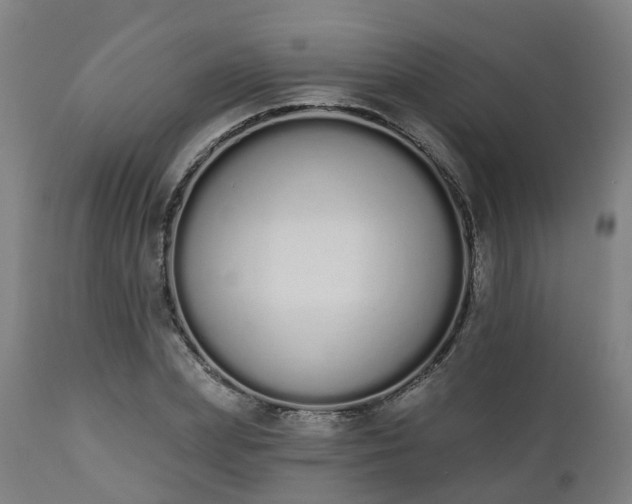 X0000112500831200908241347