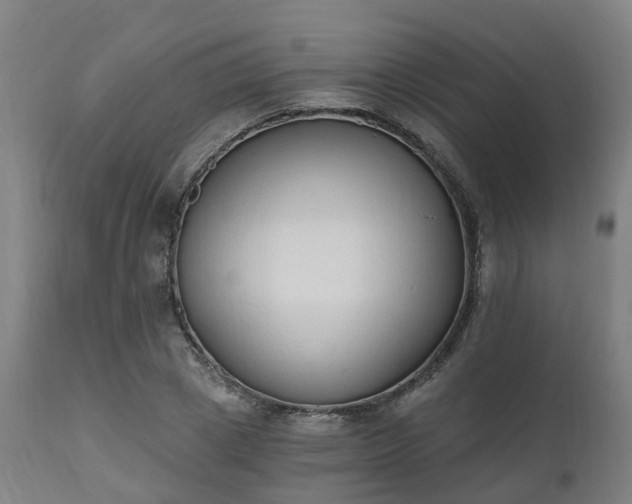 X0000112500833200908241347