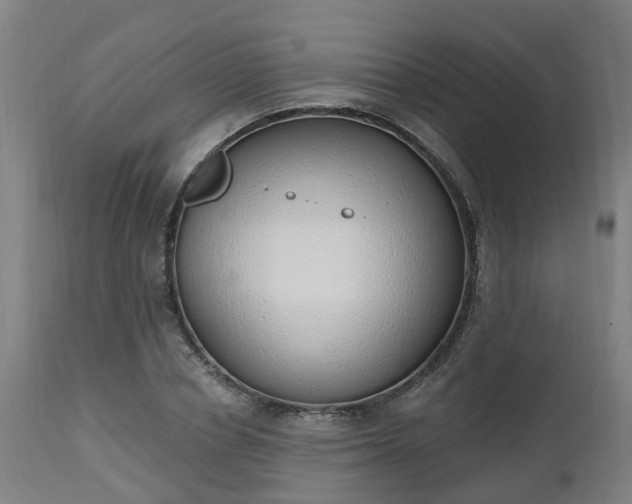 X0000112500834200908241347