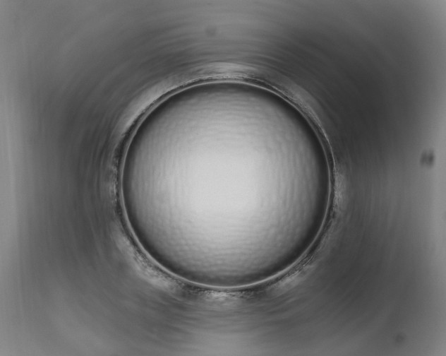 X0000112500835200908241347