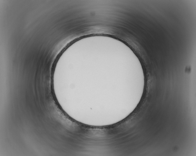 X0000112500836200908241347