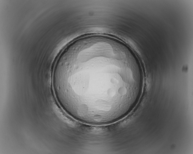 X0000112500839200908241347