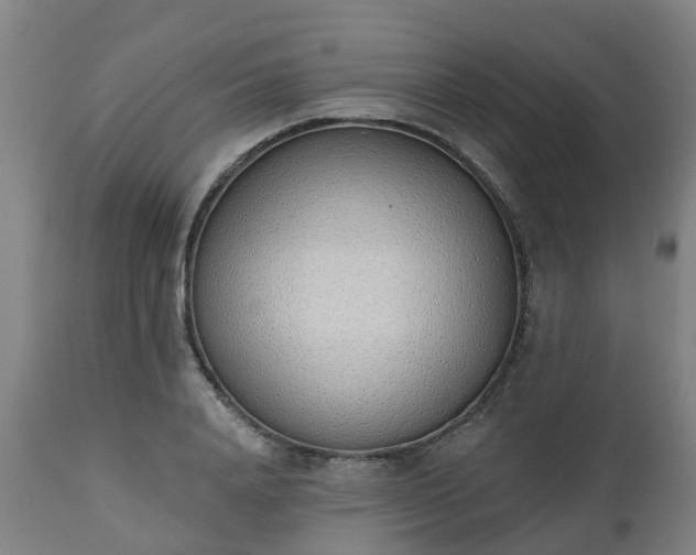 X0000112500840200908241347