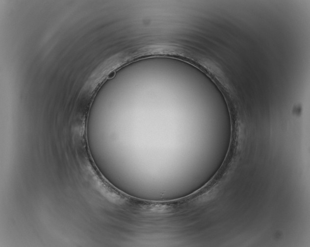 X0000112500841200908241347