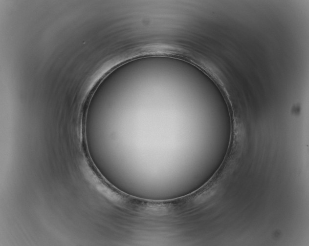 X0000112500843200908241347