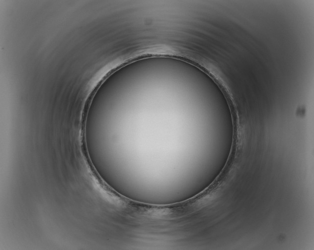 X0000112500845200908241347