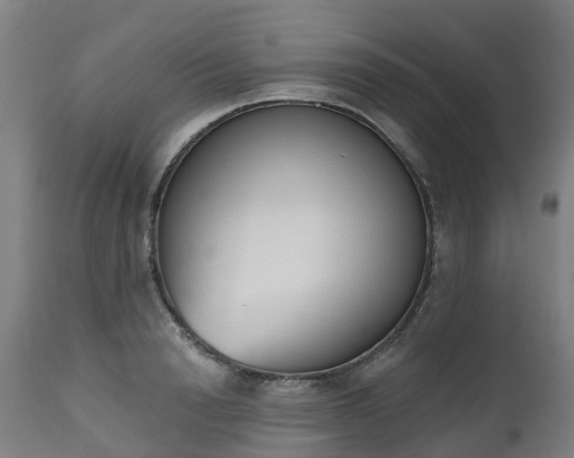 X0000112500846200908241347