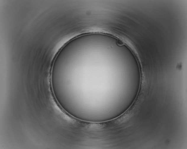 X0000112500847200908241347