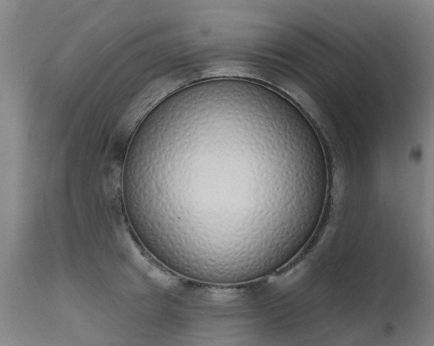 X0000112500849200908241347