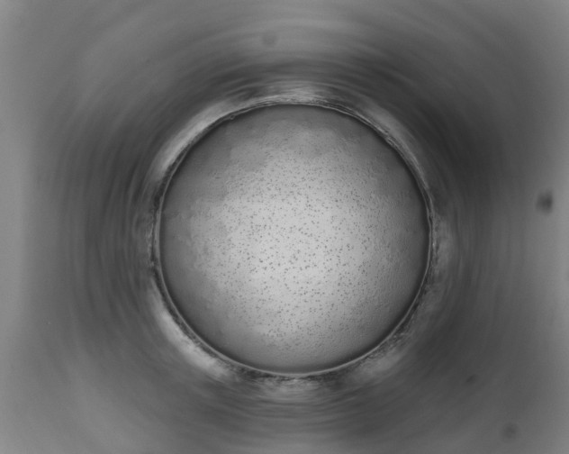 X0000112500851200908241347