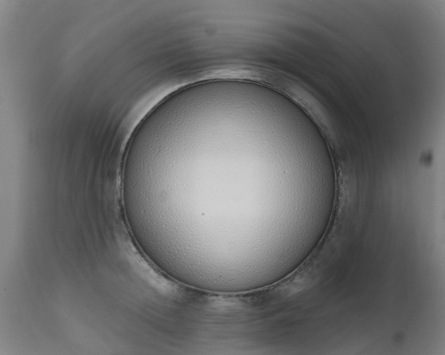 X0000112500852200908241347