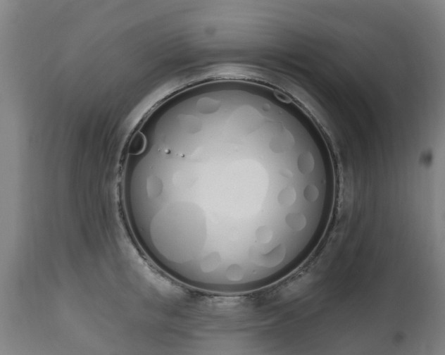 X0000112500853200908241347