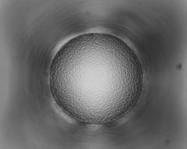 X0000112500854200908241347