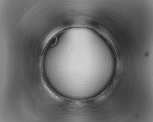 X0000112500855200908241347