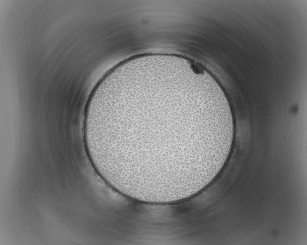 X0000112500856200908241347