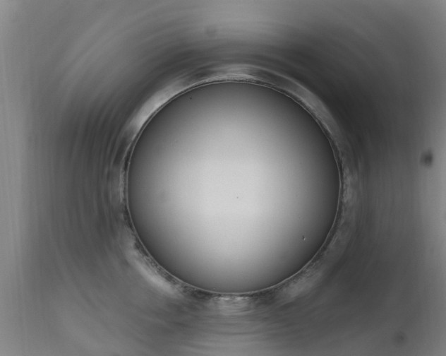 X0000112500858200908241347