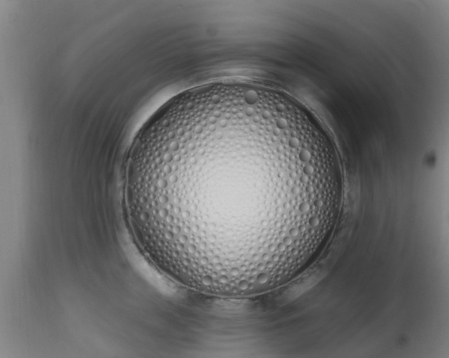 X0000112500859200908241348