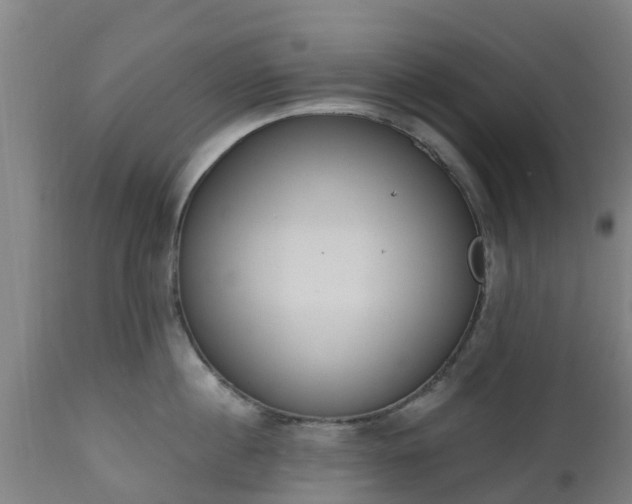 X0000112500860200908241348