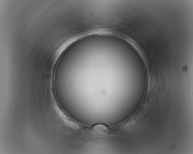 X0000112500861200908241348