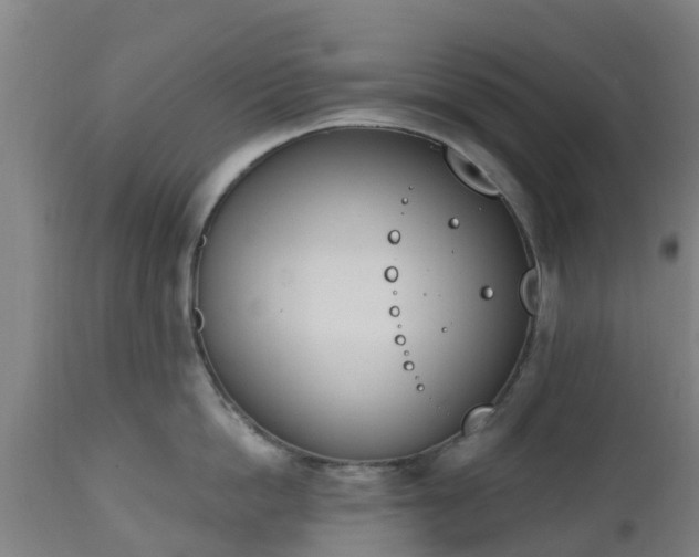 X0000112500862200908241348