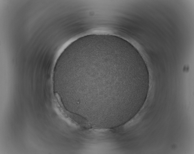 X0000112500864200908241348