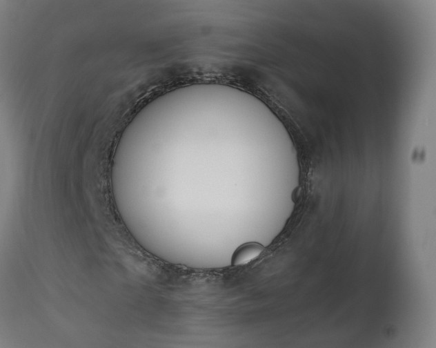 X0000112500865200908241347