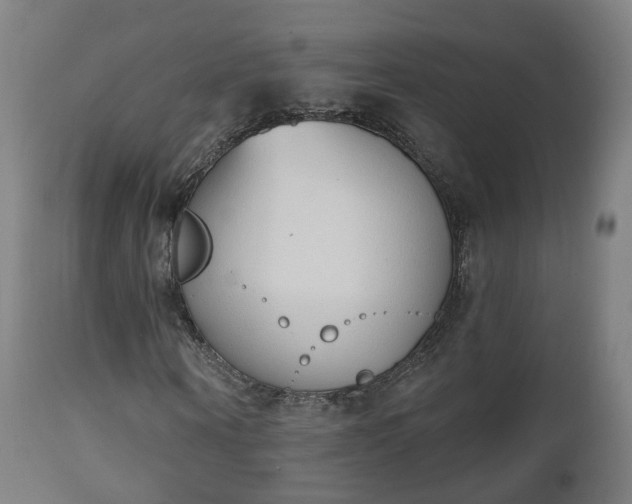 X0000112500866200908241347