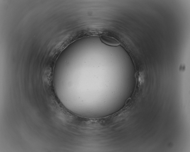 X0000112500867200908241347