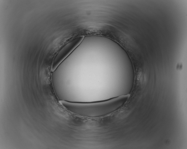 X0000112500868200908241347