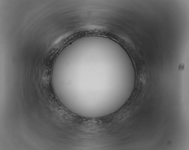 X0000112500869200908241347