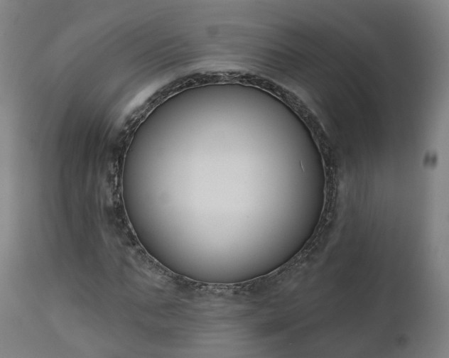 X0000112500871200908241347