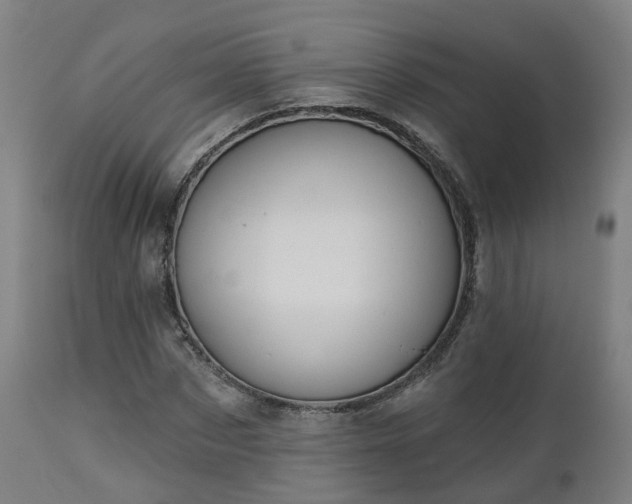 X0000112500873200908241347