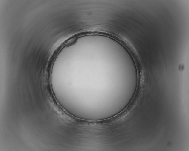 X0000112500876200908241347