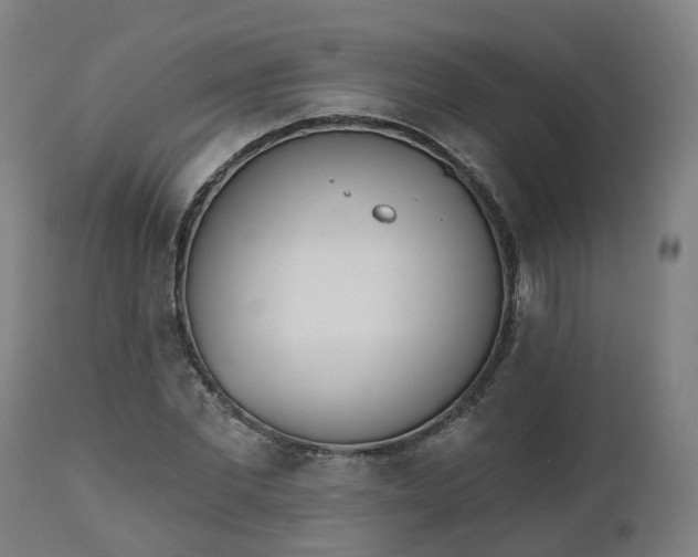 X0000112500877200908241347