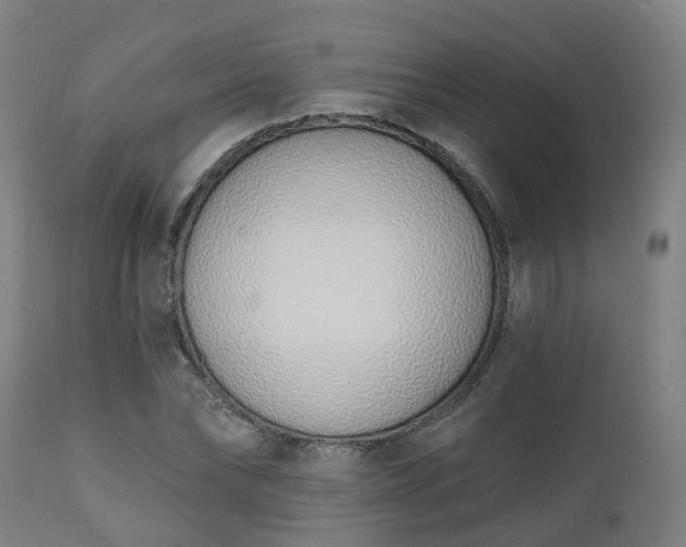 X0000112500878200908241347