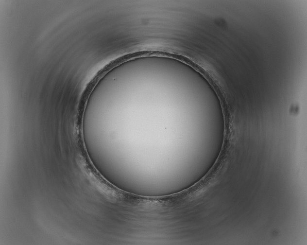 X0000112500880200908241347