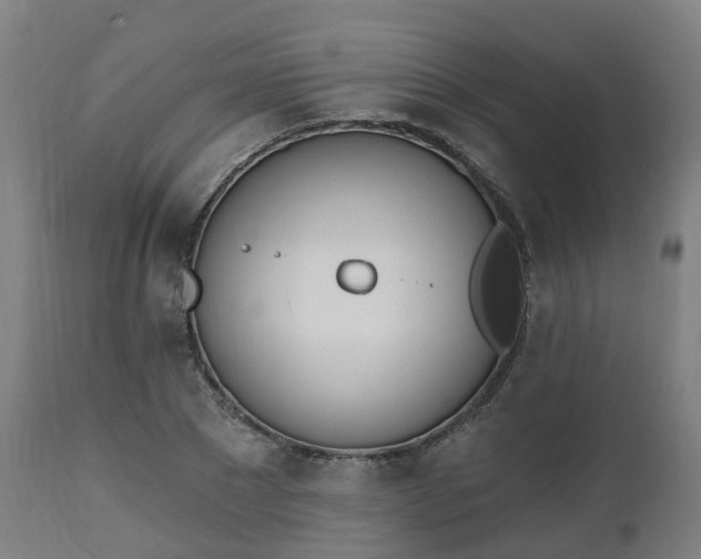 X0000112500881200908241347