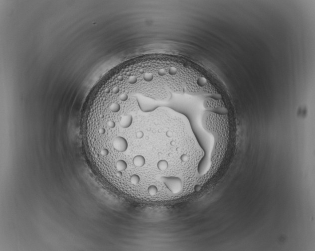 X0000112500882200908241347