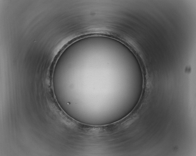 X0000112500883200908241347