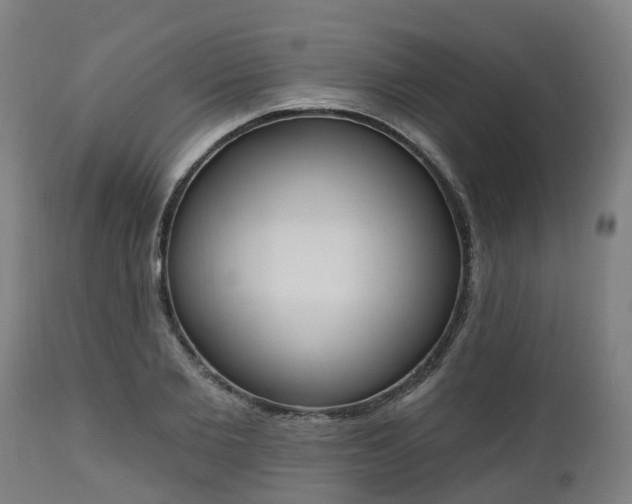 X0000112500885200908241347