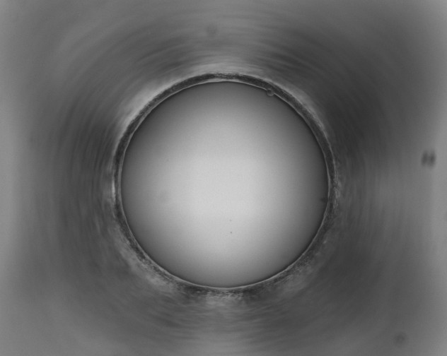 X0000112500887200908241347