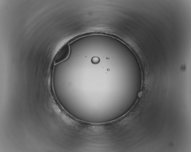 X0000112500888200908241347